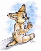 fennecbaby.gif by Audrey Walker (KrazyKlaws, WolfDreamer)