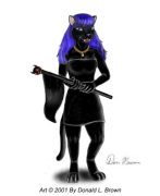 blackcat.jpg by Donald Brown (oldrabbit)