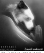yasashii_headshot_2.jpg by Timothy Albee (Amadhi)