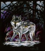 a20040126wolf01lgcr.jpg by Kimberly LeCrone (The Regal Tigress, Dreamspirit)