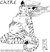 catre.gif by Jonathan Roth (Kitsune)