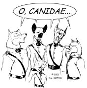 canidae.gif by Richard Bartrop