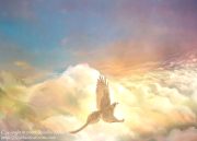 aboveclouds.jpg by Jennifer Miller (Nambroth)