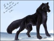 hazelwolf.jpg by Moon Wang (Cora, Whisper)