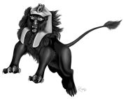 black_lion.jpg by Rebecca Kemp (katrina)