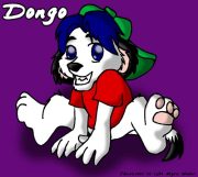 dongo.jpg by Myra Weber (Joey)