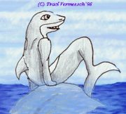 sharky.gif by Traci Vermeesch (Ulario)