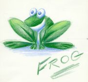 cc_frog.jpg by Cindy Cabrera (Shai)