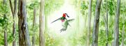humminghat.jpg by Ursula Vernon