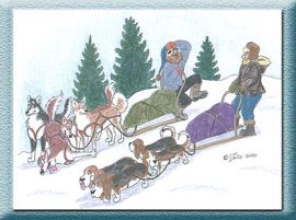 Julie Thompson (Alaska Kat, Denali) - Yerf Historical Archive