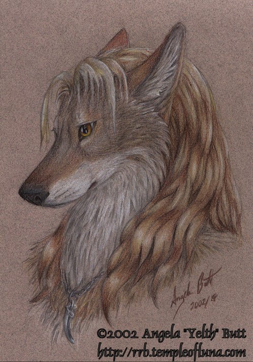 Vintage furry art history archive 2002 wolf head canine on coloured paper